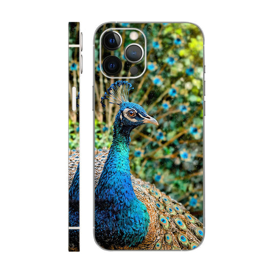 Peacock Close-Up Phone Case - Vibrant Nature Design 6D Skin